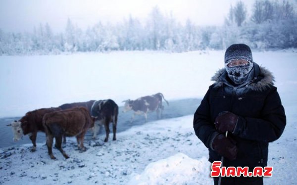 Dünyanın ən soyuq kəndindən - FOTOREPORTAJ