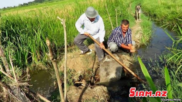 Kəndlilərə bildiriş gəlib: ' Torpağı ək, yoxsa…'