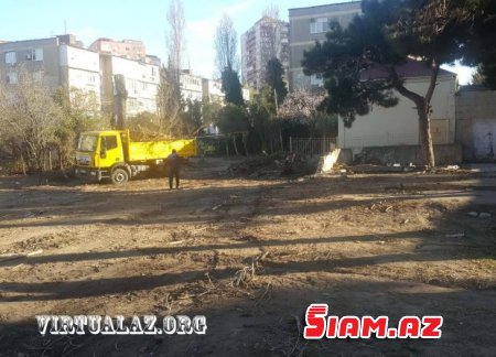 Bakıda “abadlıq” adı ilə ağacları kəsirlər- FOTOLAR