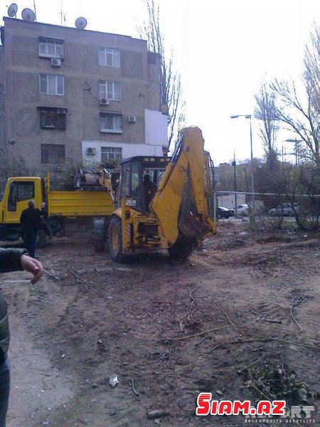 Bakıda ağaclar abadlıq adı ilə kütləvi şəkildə kəsildi – İcra hakimiyyəti cərimələndi [FOTO]