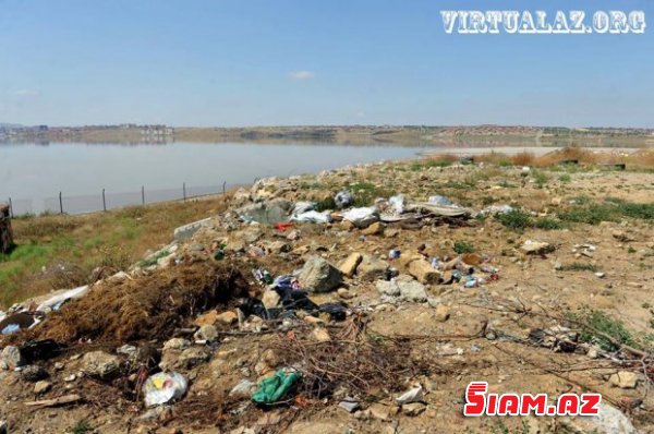 Masazırın duz gölünə axan çirkab suları, leş qoxusu