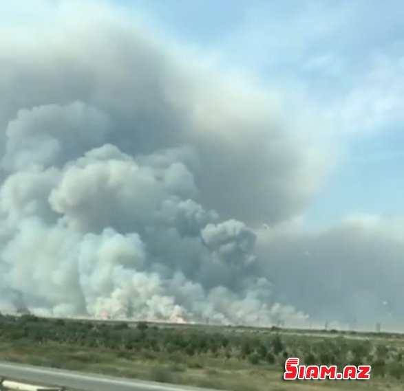 Xızıda silah anbarı partlayıb, ətrafa mərmilər səpələnib Yenilənir FOTO VİDEO