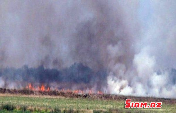 SON DƏQİQƏ: 10 min ton planı toplaya bilməyən başçının 3 min ton pambığı yandı – GORANBOYDA RƏZALƏT+FOTOFAKT