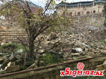  İcra başçısı Xaləddin İsgəndərov Bakıda zeytun bağını məhv etdirir - Fotokat