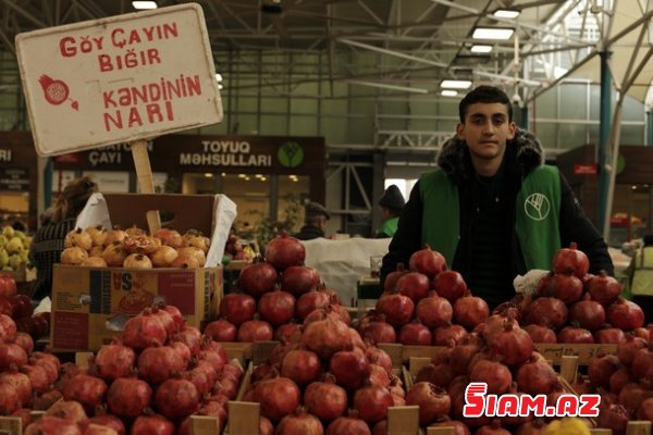 Domino oynayan satıcılar, 50 qəpiyə sarımsaq, 20 manata qoz... (REPORTAJ)