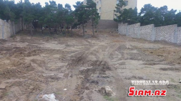 Bakıda 2.5 hektarlıq meşənin ələ keçirilməsi: ərazidə villa tikintisi başladı