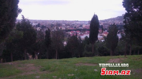 Bakıda 2 hektarlıq meşə necə "azad olundu", ərazini kim ələ keçirdi...